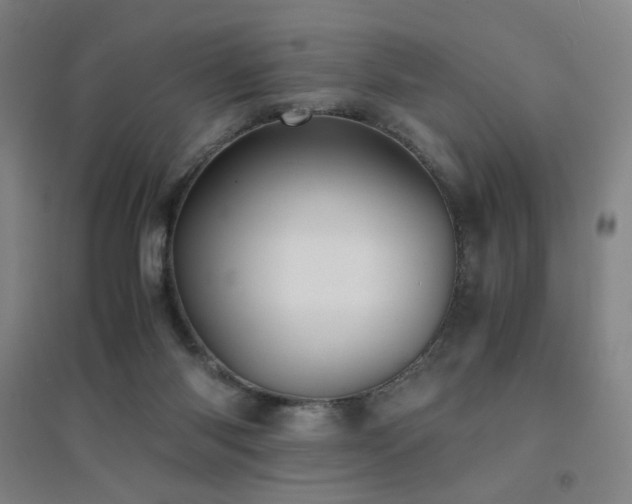 X0000094430118200711081235