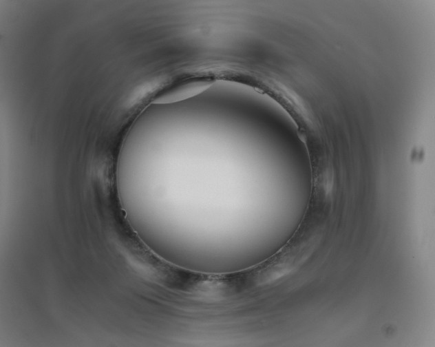 X0000094430119200711081235