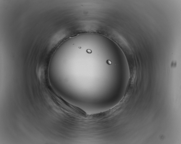 X0000094430120200711081235