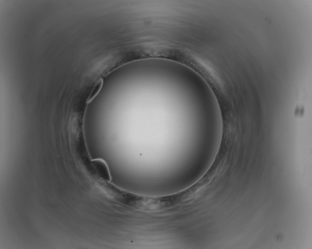 X0000094430121200711081235