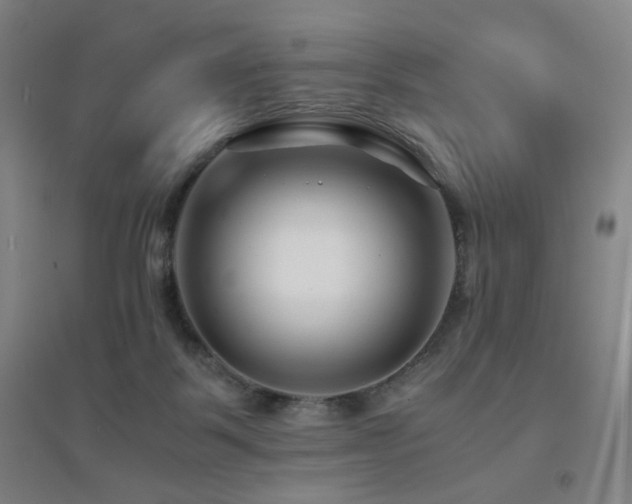X0000094430123200711081234