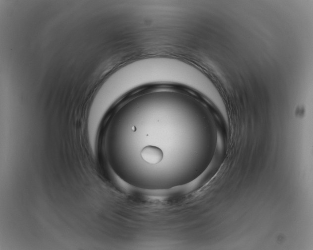 X0000094430124200711081234