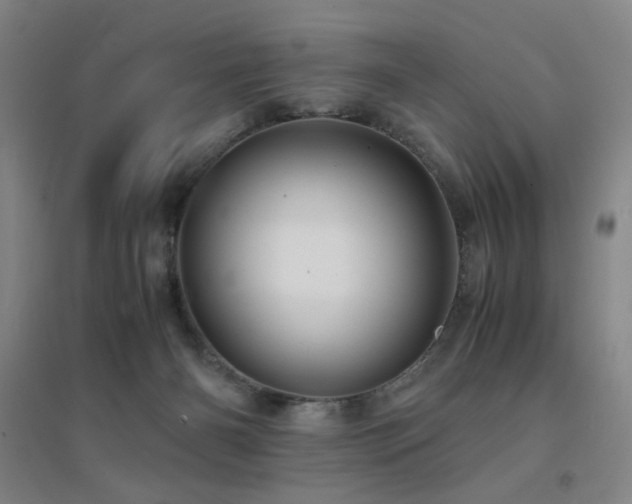 X0000094430126200711081234