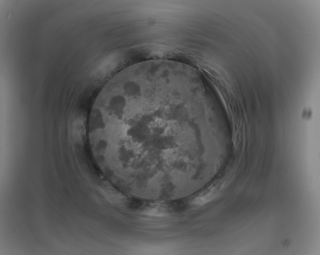 X0000094430127200711081234