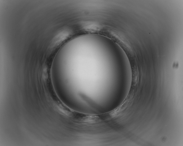 X0000094430128200711081234