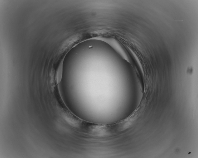 X0000094430132200711081234