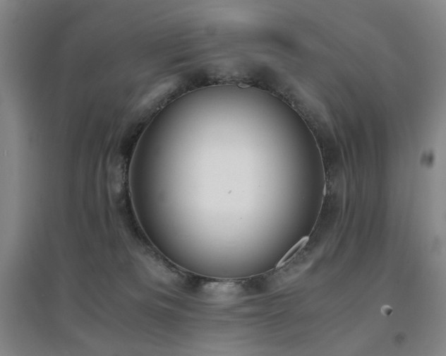 X0000094430133200711081234