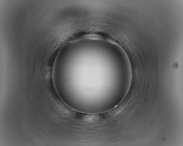 X0000094430135200711081234