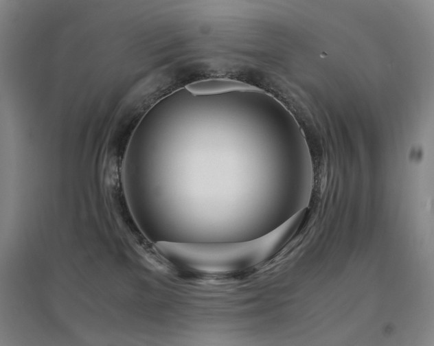 X0000094430137200711081234