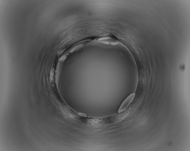 X0000094430139200711081234