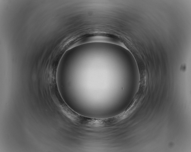 X0000094430140200711081234