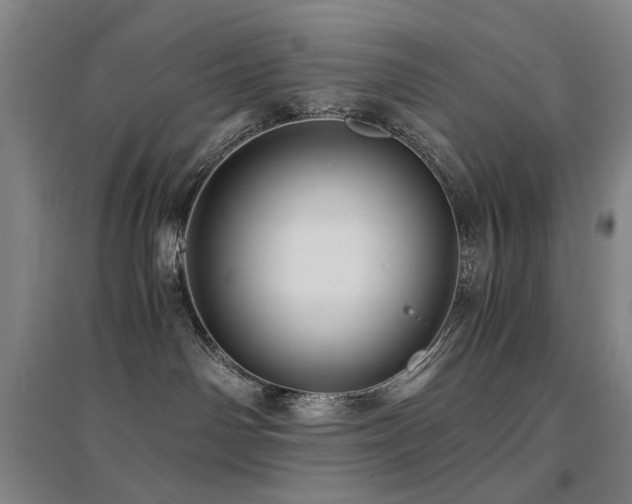 X0000094430142200711081234