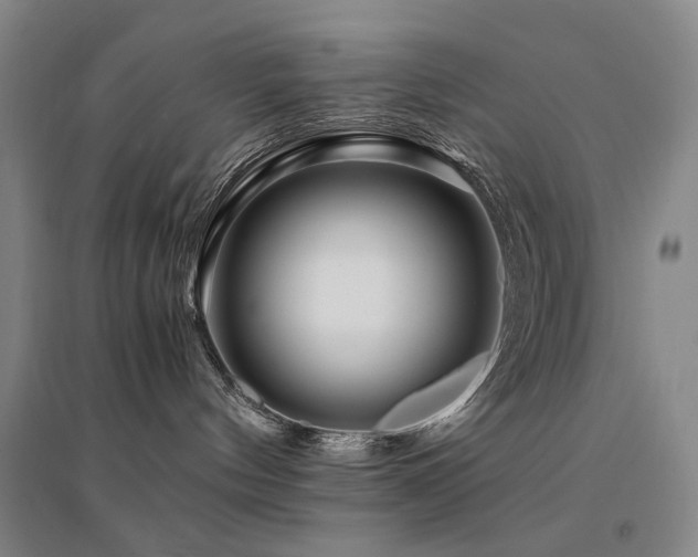 X0000094430144200711081234