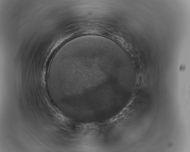 X0000094430146200711081234
