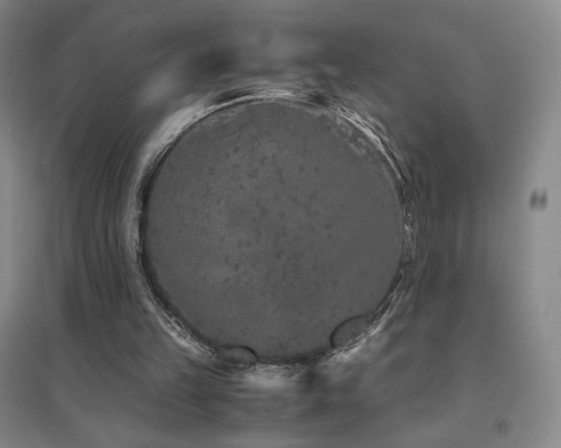 X0000094430149200711081234