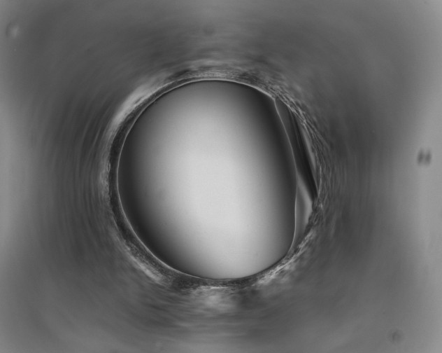 X0000094430150200711081234