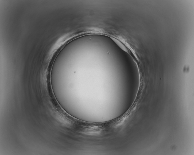 X0000094430151200711081234