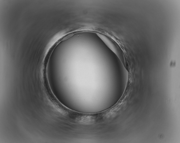X0000094430152200711081234