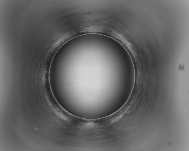 X0000094430153200711081234