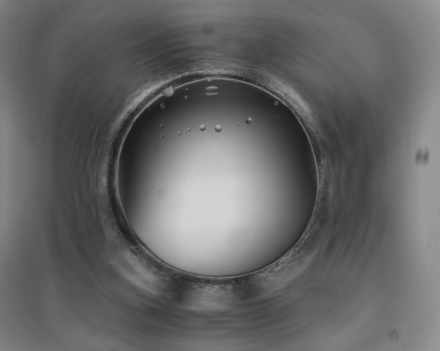 X0000094430155200711081234