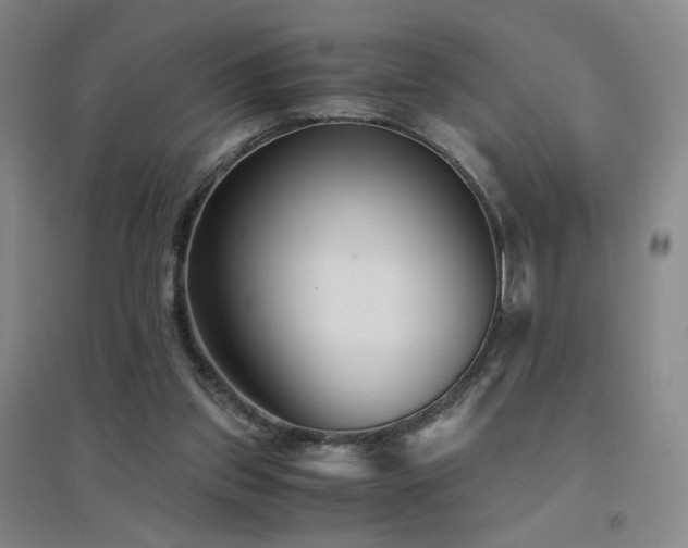 X0000094430157200711081234