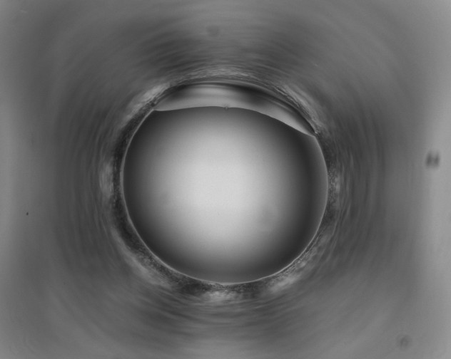 X0000094430158200711081234