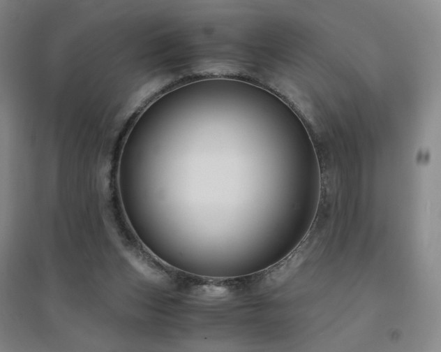 X0000094430159200711081234