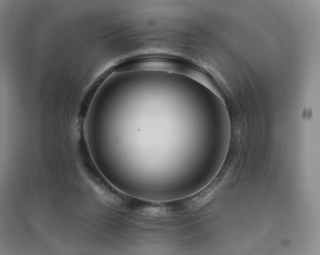 X0000094430160200711081234