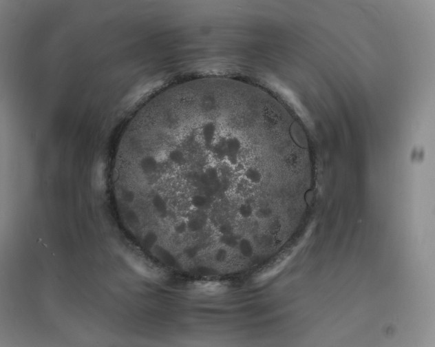 X0000094430161200711081234