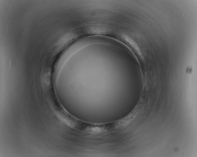 X0000094430163200711081234
