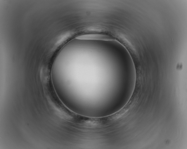 X0000094430164200711081234