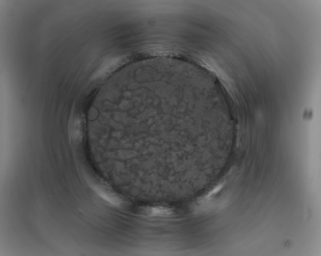 X0000094430165200711081234
