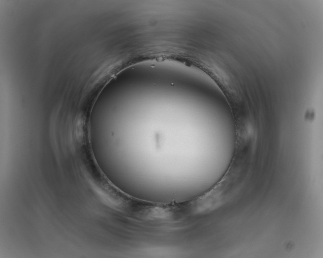 X0000094430166200711081234