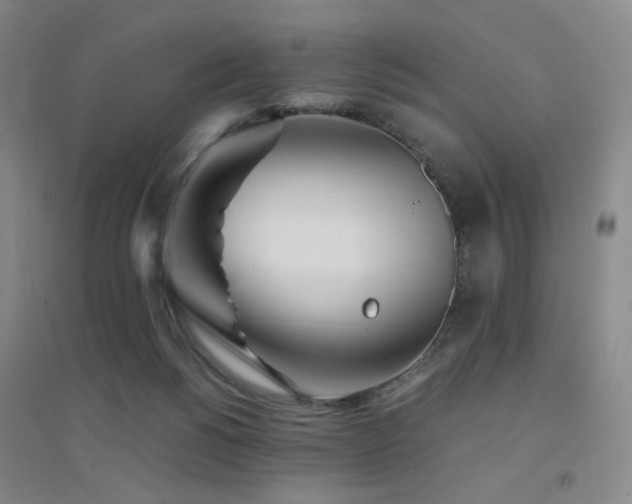 X0000094430168200711081234