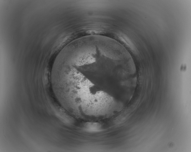 X0000094430169200711081234