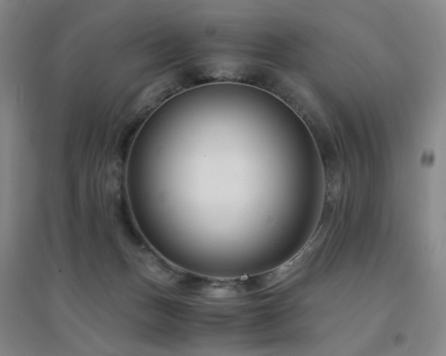 X0000094430175200711081234