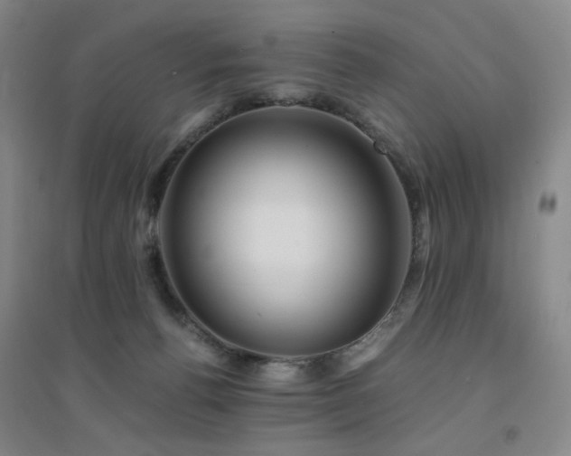 X0000094430176200711081234