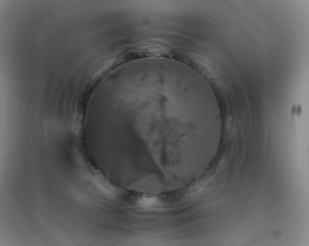 X0000094430177200711081234