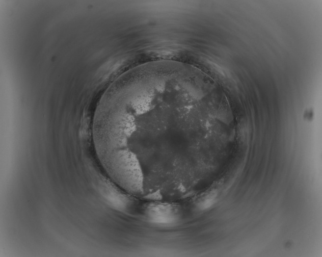 X0000094430181200711081234