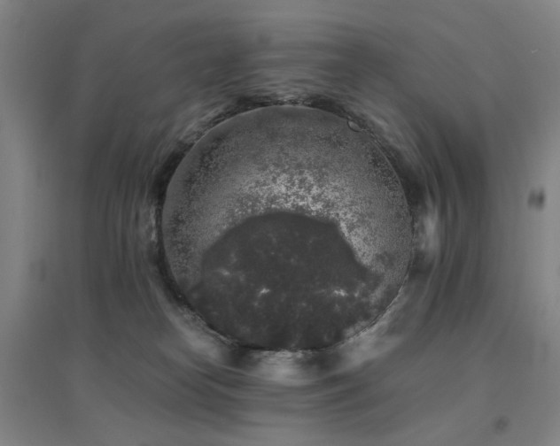 X0000094430182200711081234
