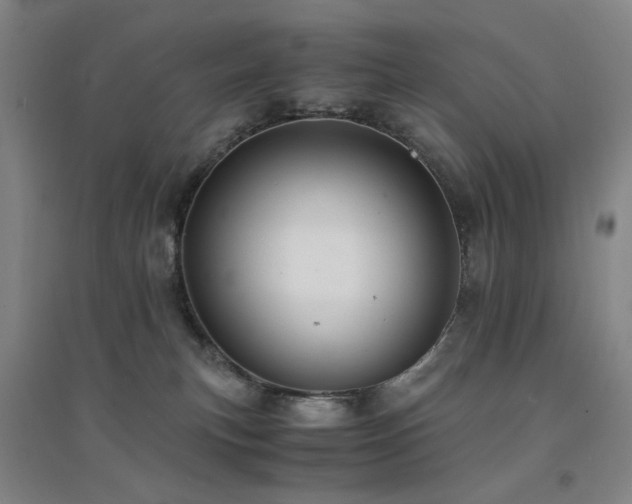 X0000094430183200711081234