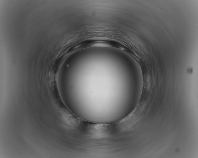 X0000094430184200711081234