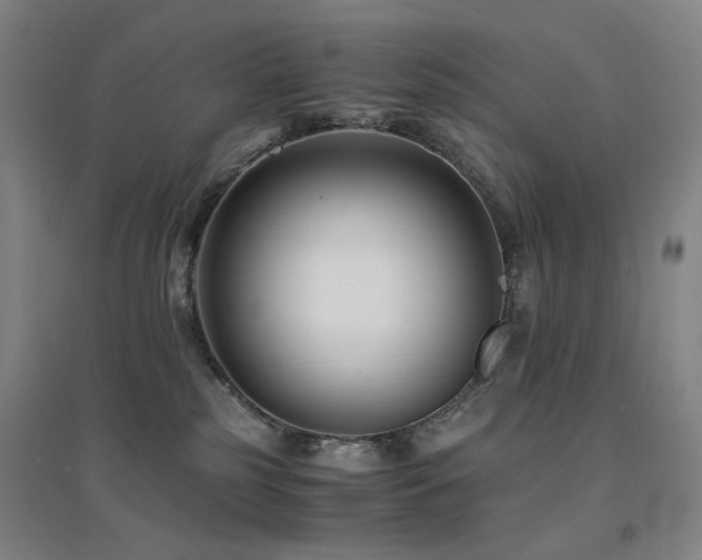 X0000094430185200711081234