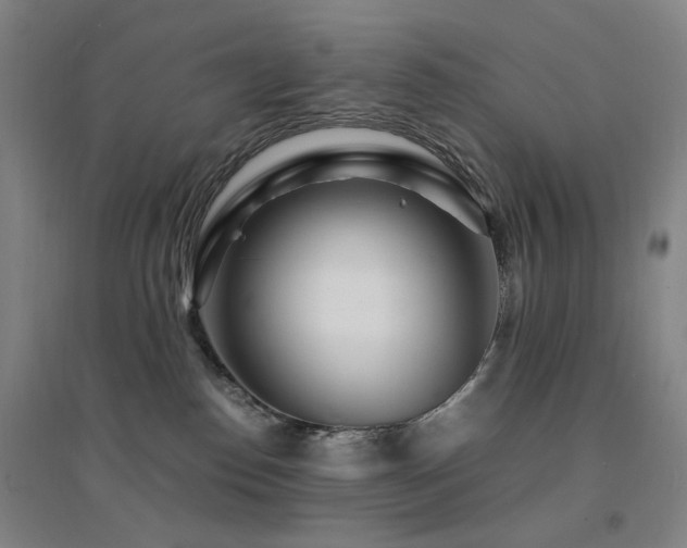 X0000094430186200711081234