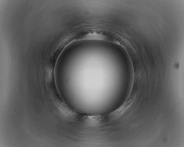 X0000094430188200711081234