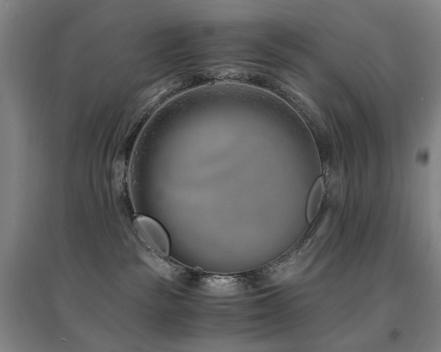 X0000094430189200711081234