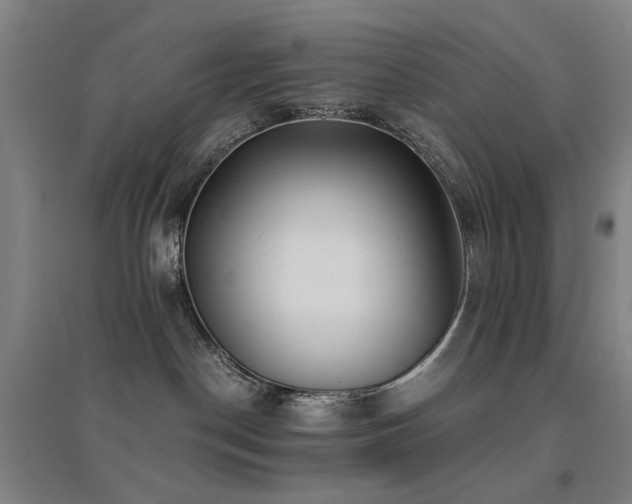 X0000094430190200711081234