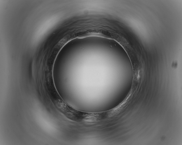 X0000094430191200711081234