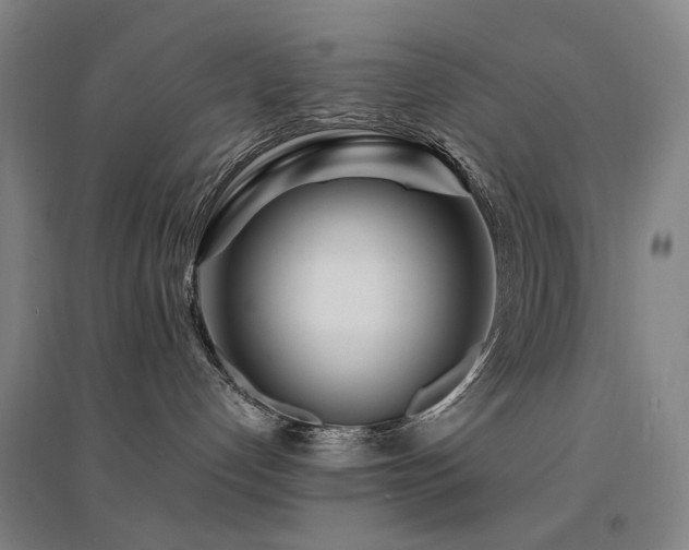X0000094430192200711081234