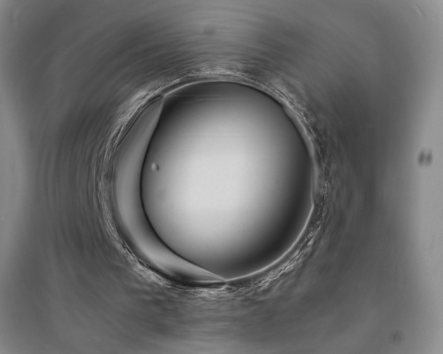 X0000094430193200711081234